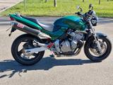 Honda CB 600 F (Hornet) - Offers