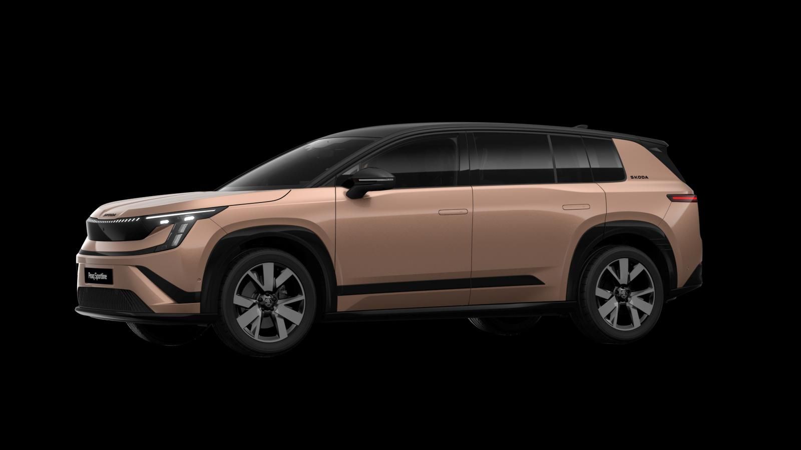 Skoda Andere - Bild 16