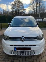 Volkswagen Caddy Maxi Style 4 motion Candy-Weiß - Volkswagen: Candy
