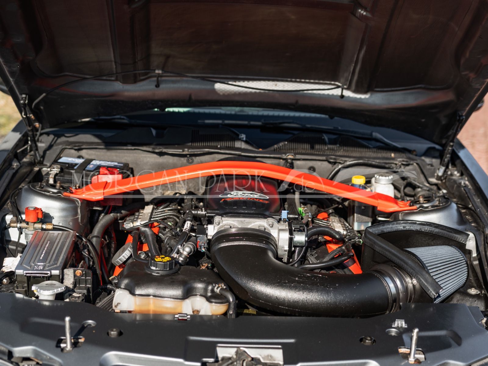 Fahrzeugabbildung Ford Mustang GT *Neidfaktor+480PS*