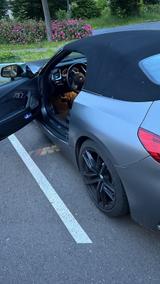 BMW Z4 sDrive20i M SPORT A M SPORT - gebrauchte BMW Z4 aus dem Jahr 2019