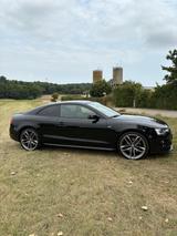 Audi A5 3.0 TDI 180kW S tronic quattro - - Audi A5 Gebrauchtwagen in Stuttgart