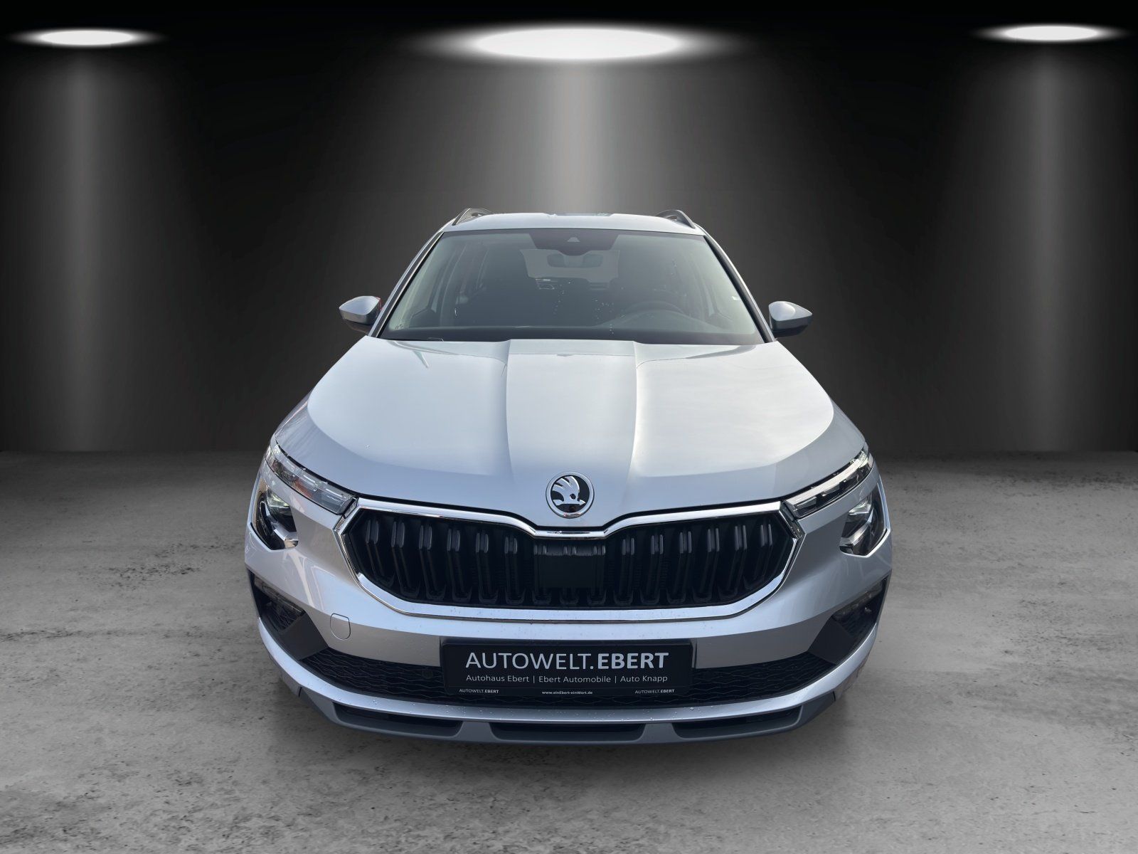 Fahrzeugabbildung SKODA Kamiq Tour 1,0 TSI 85 kW DSG