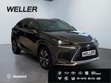 Lexus NX 300h Style Edition *Bi-LED*ACC*Kamera*SHZ*PDC - Lexus: Nx