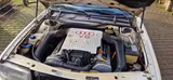 Audi V8 D11,  3,6L Quattro, H-Kennzeichen - Audi V8 Gebrauchtwagen