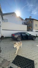 Audi A5 Sportback 1.8 TFSI Automatik Facelift - Audi A5 aus 2012: Facelift