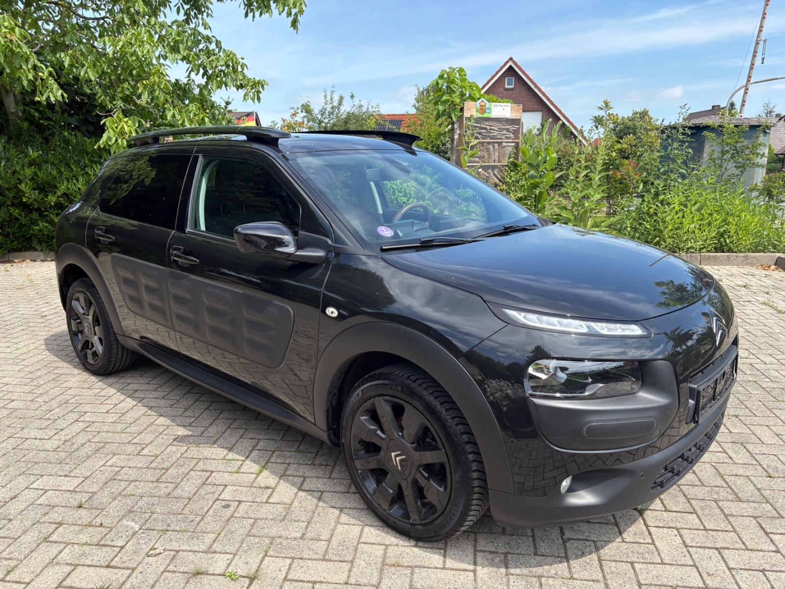 Citroën C4 Cactus 1.2 PureTech 110 Navi/Camera