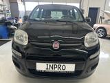 Fiat Panda Pop Klima  1 Hand - Fiat Panda: Schwarz