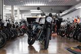 Royal Enfield BEAR 650 neues Modell 2025, sofort lieferbar - Royal Enfield Bear 650