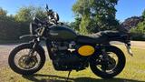 Triumph Scrambler 900 - TRIUMPH SCRAMBLER