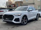 Audi Q5 Sportback 50 TFSI e quattro S line - Audi Q5: Sportwagen