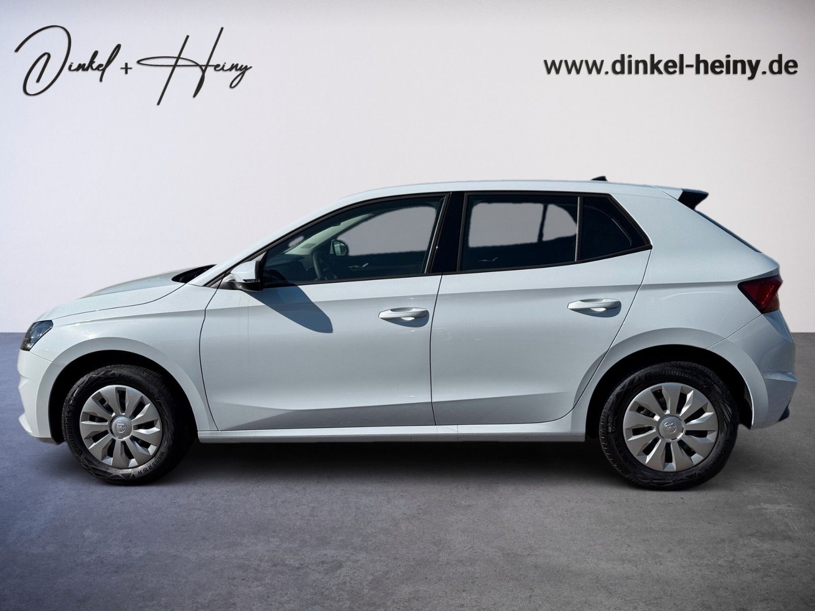 Fahrzeugabbildung SKODA Fabia Selection 1.0TSI