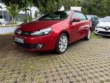 Volkswagen Golf VI Cabriolet Basis - : Alcantara, Scheckheftgepflegt, Cabrio, mit Klimaanlage
