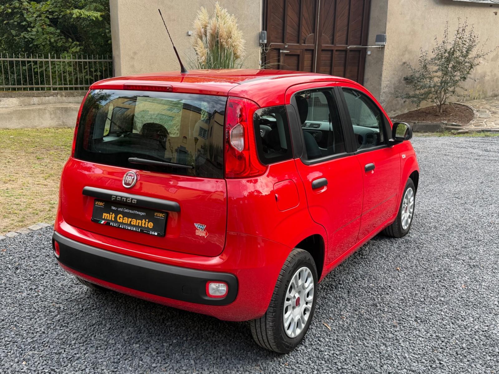 Fiat Panda 1.2 Easy LPG Autogas |1Hand|Neuwertig|LED