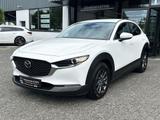 Mazda CX-30 2.0 M Hybrid Prime-Line * PDC hinten * Rüc - Mazda CX-30 Prime-Line mit Benzin-Antrieb
