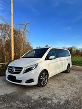 Mercedes-Benz V 250 d 4MATIC AVANTGARDE EDITION lang  - Mercedes-Benz V 250 in München