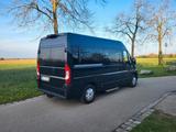 Peugeot Boxer  L2H2 8 sitz Panorama (Ducato) - Peugeot Boxer in München