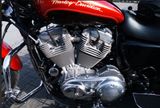 Harley-Davidson Sportster Sonderumbau EML-Trike  - Offers matching your search criteria