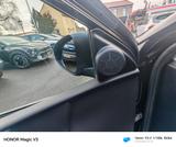 Toyota Auris Touring Sports Cool - Toyota: Sport