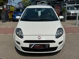 Fiat Punto 1.2 Easy 1.HD*Klima*Allwetter*Kein TÜV* - Fiat Punto: Weiß