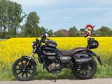 QJ Motor SRV 125 - CHOPPER VON 81 BIS 125 CCM