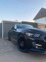 Ford FORD Mustang Fastback 5.0 V8 GT Automat 25... - Ford Mustang: Fast