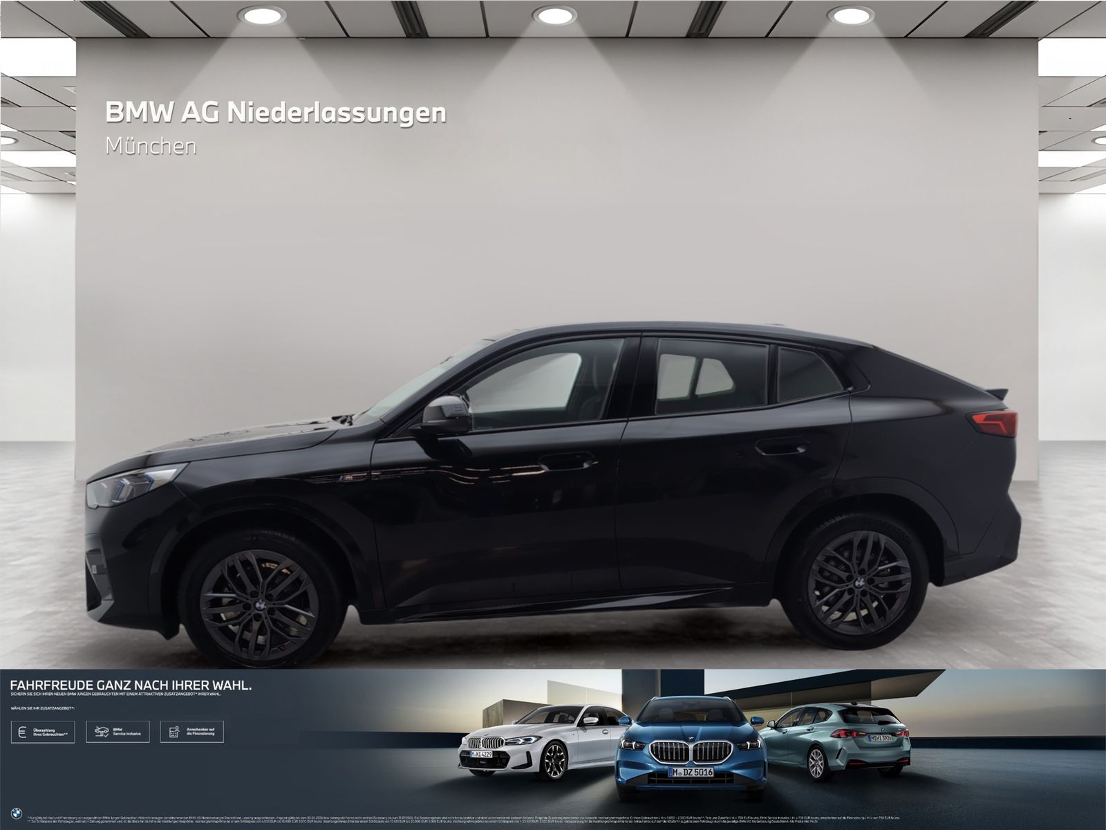BMW X2 xDrive20d M Sport AHK Driv.Assist Harman K foto 2