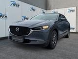 Mazda CX-30 SKYACTIV-G 2.0 M Hybrid Selection AHK LED  - Mazda CX-30 Gebrauchtwagen