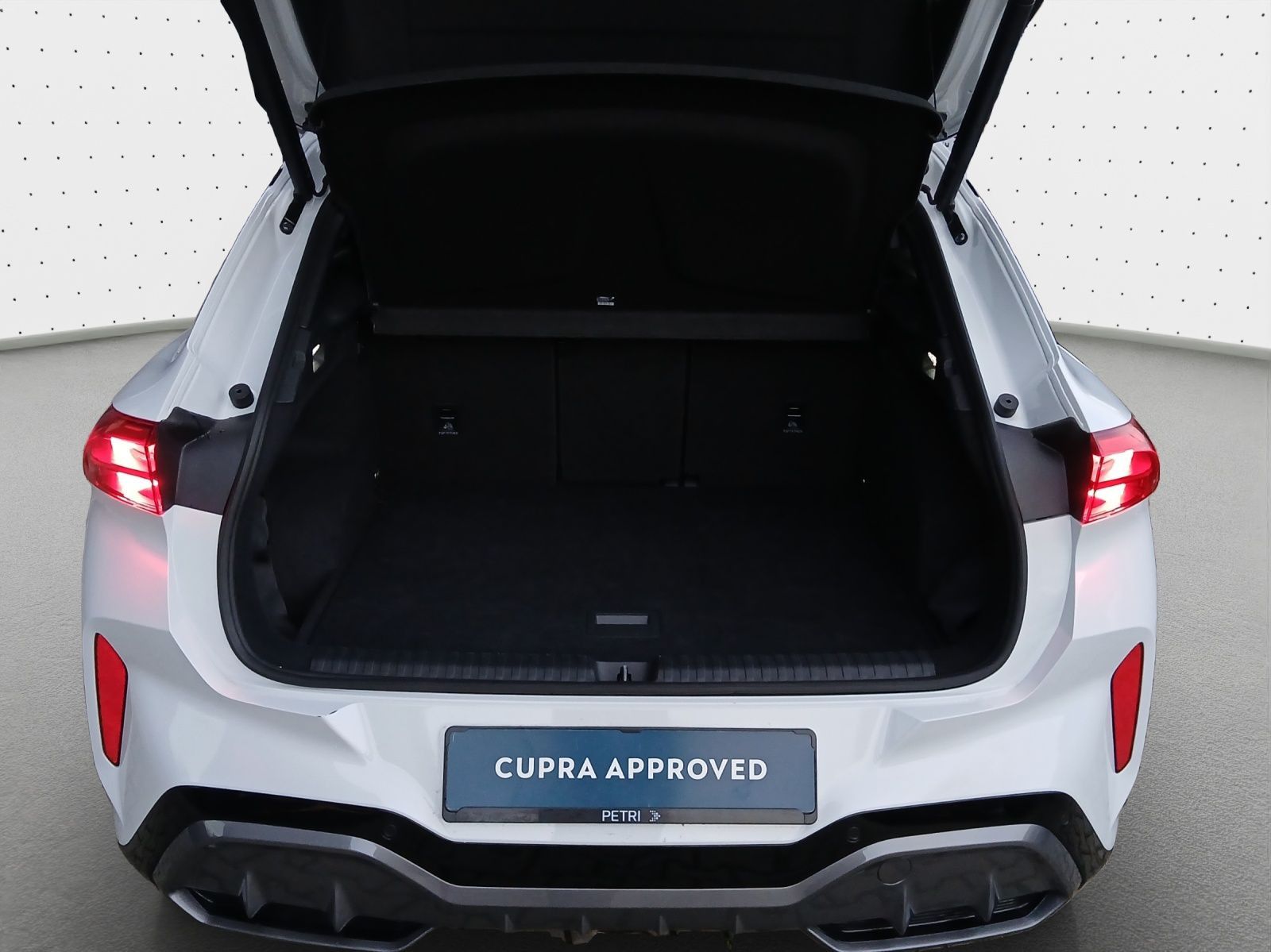 Cupra Terramar - Bild 13