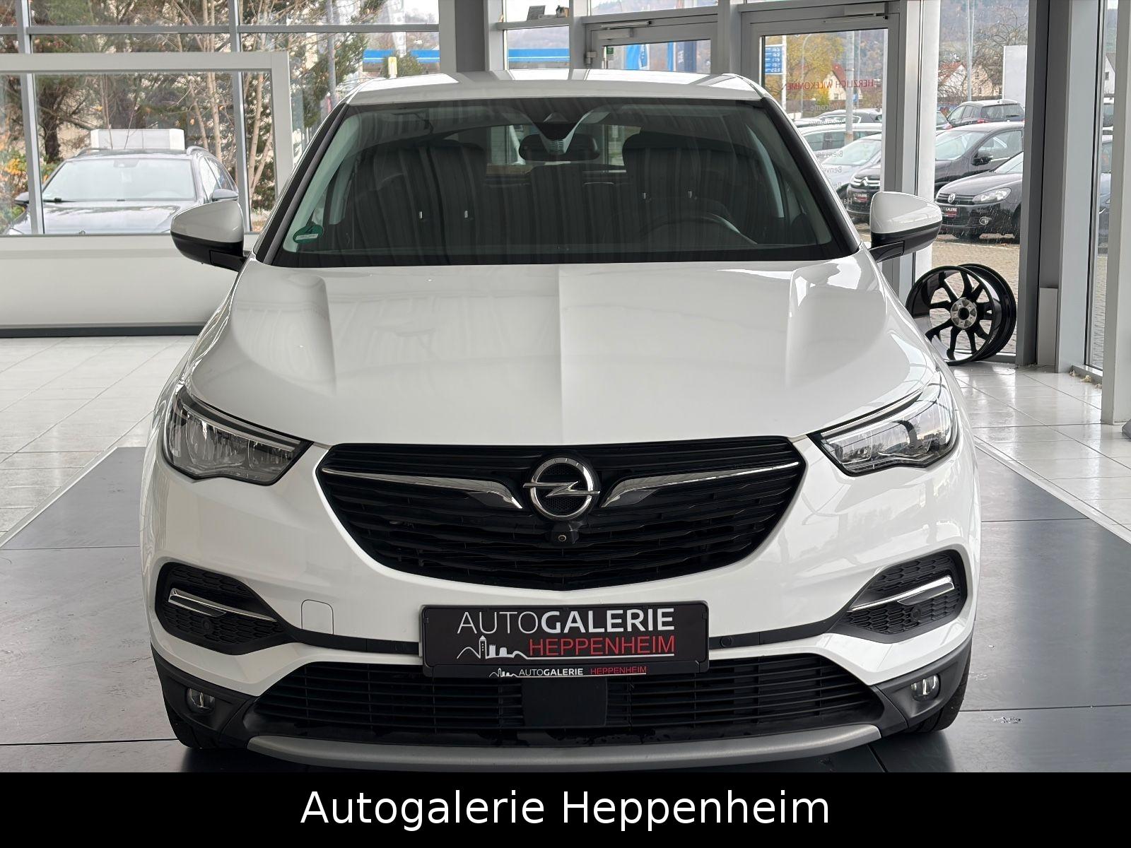 Opel Grandland (X)Innovation/AUT/NAV/SHZ/L-HEIZ/R-KAM