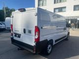 Fiat Ducato 33 L2H1 AHK CarPlay RüKa Allwetter Klima - Fiat Ducato Neuwagen