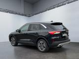 Ford Kuga Titanium 2.5 FHEV Automatik Rückfahrkamera - Ford Jahreswagen