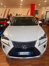 Lexus NX 300h Hybrid 4WD Executive - gebrauchte Lexus Kombis