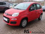 Fiat Panda Easy 1.2 2.Hand*Garantie*Klimaanlage - Fiat Panda: Rot