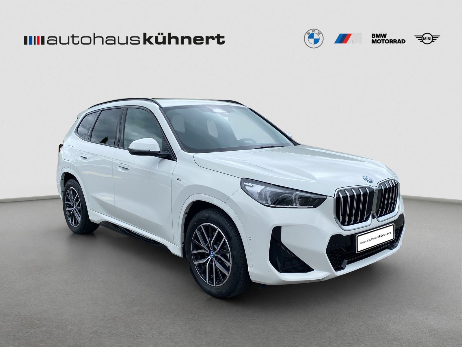BMW X1 xDrive30e ///M-Sport ACC AHK HUD ParkA+ foto 9