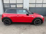 MINI COOPER Mini 3-trg. Cooper - MINI Cooper aus 2020
