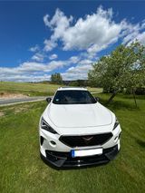 Cupra Formentor 2.0 TSI 228kW VZ 4Drive DSG VZ - Cupra Formentor aus 2020