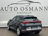 Cupra Formentor 2.0 TDI 4Drive DSG / ACC / 360°Kamera - Cupra Formentor in Duisburg