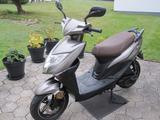 Beeline Tapo 45 km/h "sehr gepflegt"  2-Takt Motor - BEELINE ROLLER