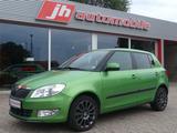 Skoda Fabia Ambition Klima*PDC*SHZ*ab 149€ - Skoda Fabia: Grün