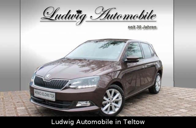 Skoda Fabia Joy Navi*Klimaautomatik*Shz*TOP