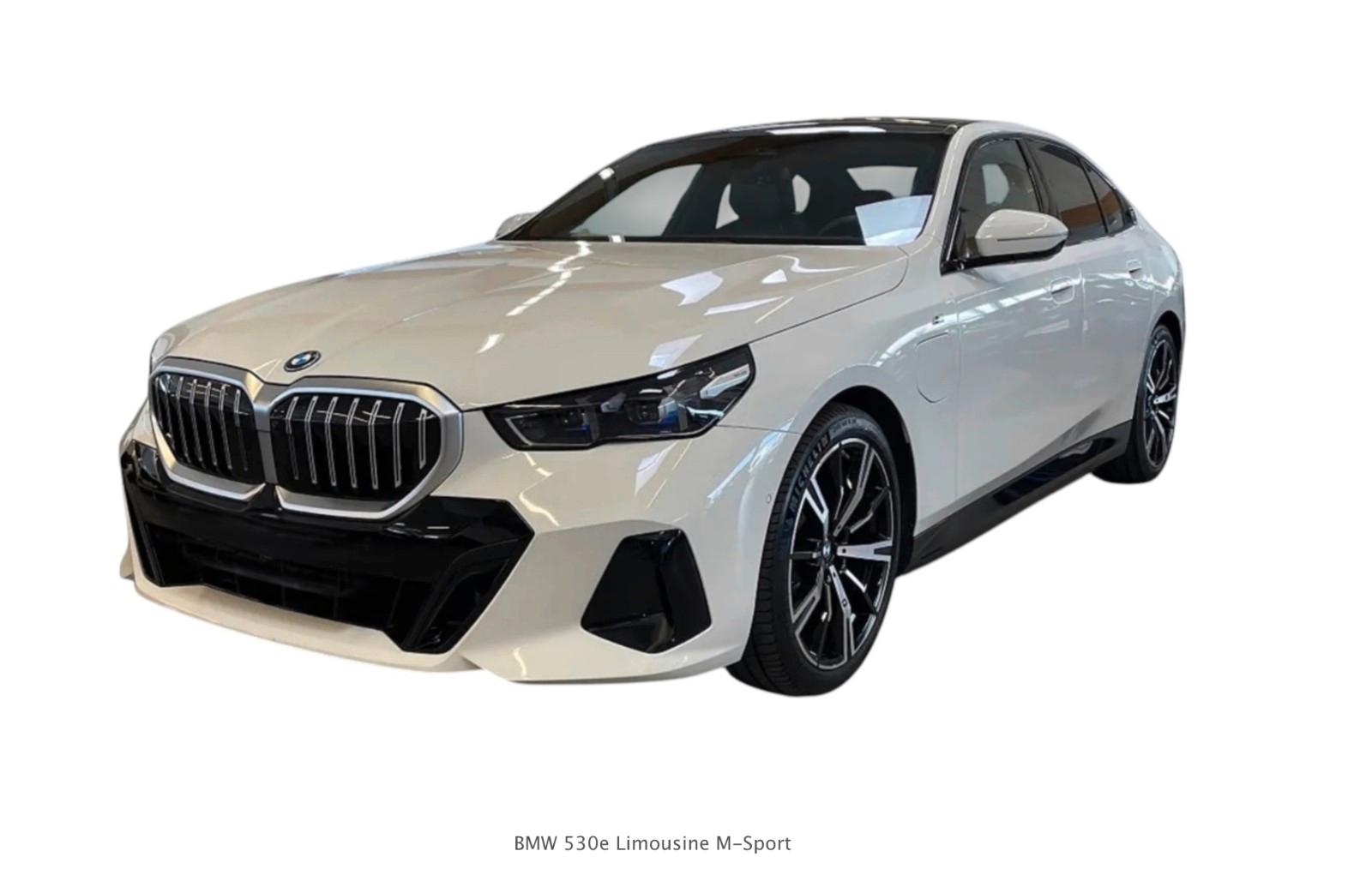BMW 530e M Sport / PANO / AHK / HK / BRAUN LEDER