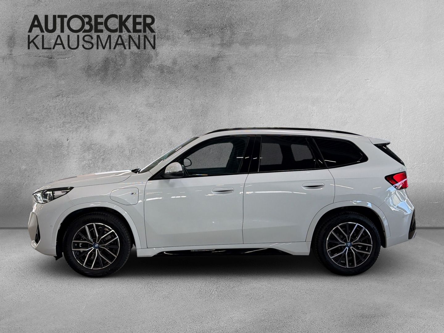 BMW X1 xDrive30e M Sport 18''LC PROF HuD AHK 360°PAR foto 3