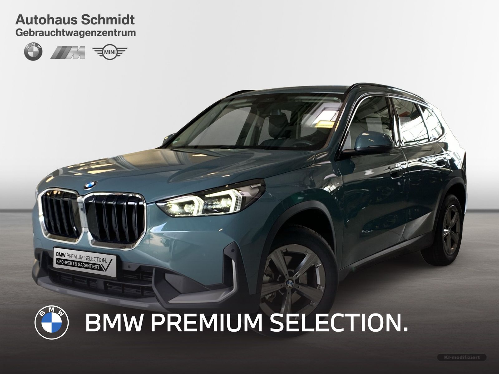 BMW X1 - Bild 1