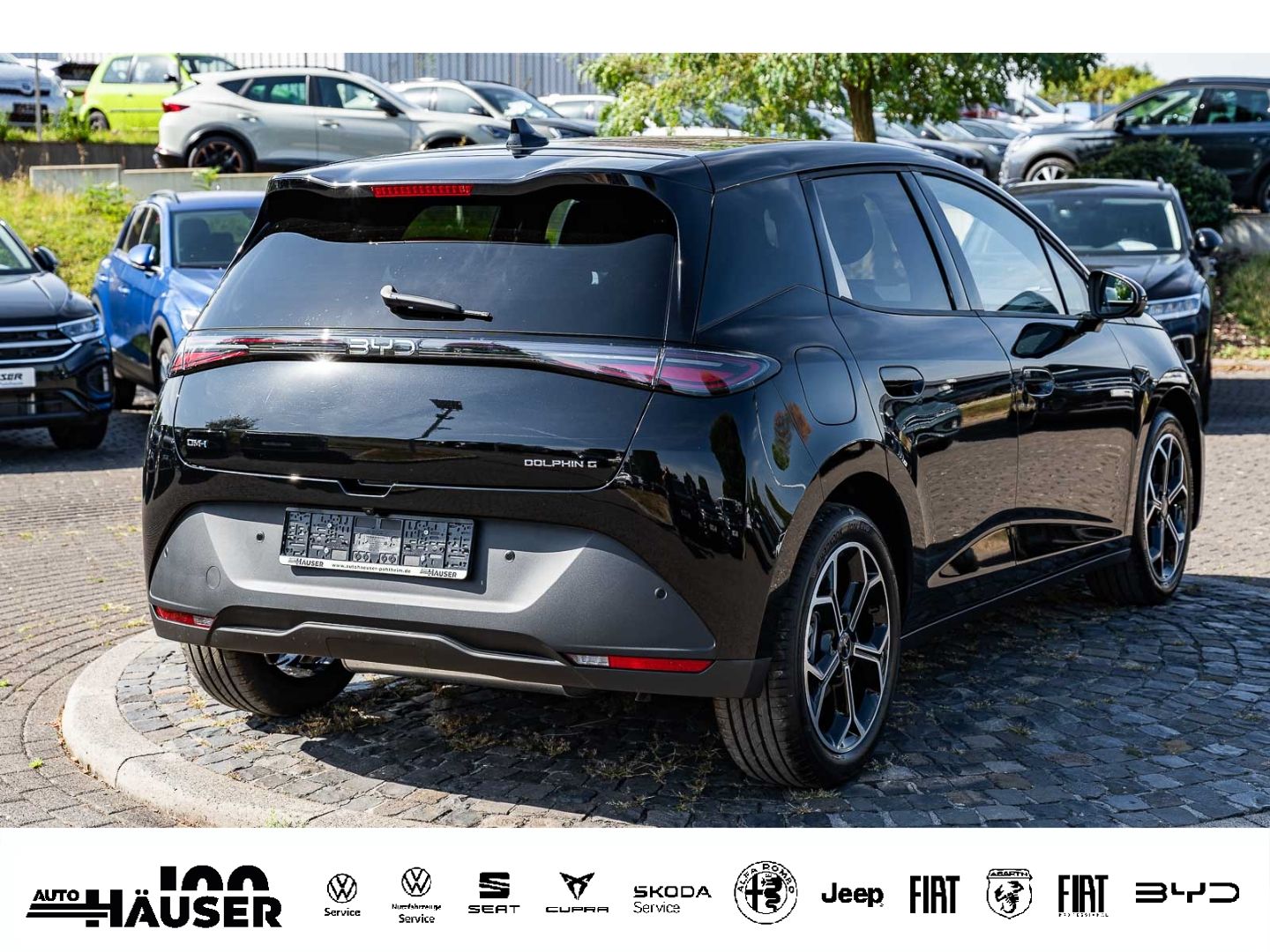 BYD DOLPHIN