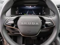 Skoda Karoq - Vorschau Bild 19