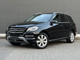 Mercedes-Benz ML 250 CDI BlueTec 4Matic Rkam Schiebedach TOP - Mercedes-Benz mit Diesel-Antrieb: Geländewagen