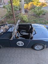 Austin Healey Andere - Austin Healey Gebrauchtwagen von 1960
