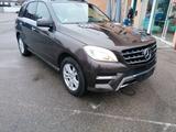 Mercedes-Benz ML 350 CDI AMG Top Ausstattung - Mercedes-Benz ML 350: Cdi AMG