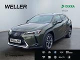 Lexus UX 250h Style Edition *LED*ACC*RCam*SHZ*CarPlay*